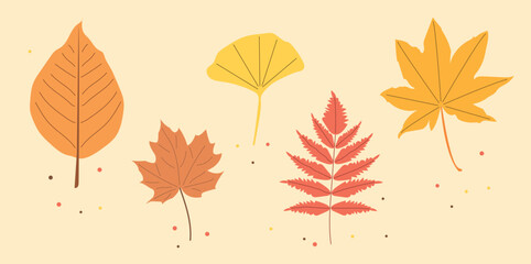 Autumn leaf color set. Pack for seasonal web design. Vector illustration