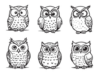 Owl Line Art Illustration