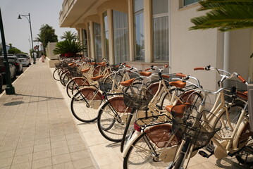 bicycles in the city