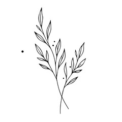 Simple line art drawing of elegant leaves and stems. Botanical illustration perfect for wedding invitations or minimalist branding.  Elegant foliage design ideal for stationery, logos,