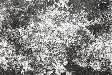 Grungy black and white stone texture. Weathered abstract surface with high contrast. Natural mineral background. Cracked and rough pattern. Ideal for overlay. Design or digital artwork.