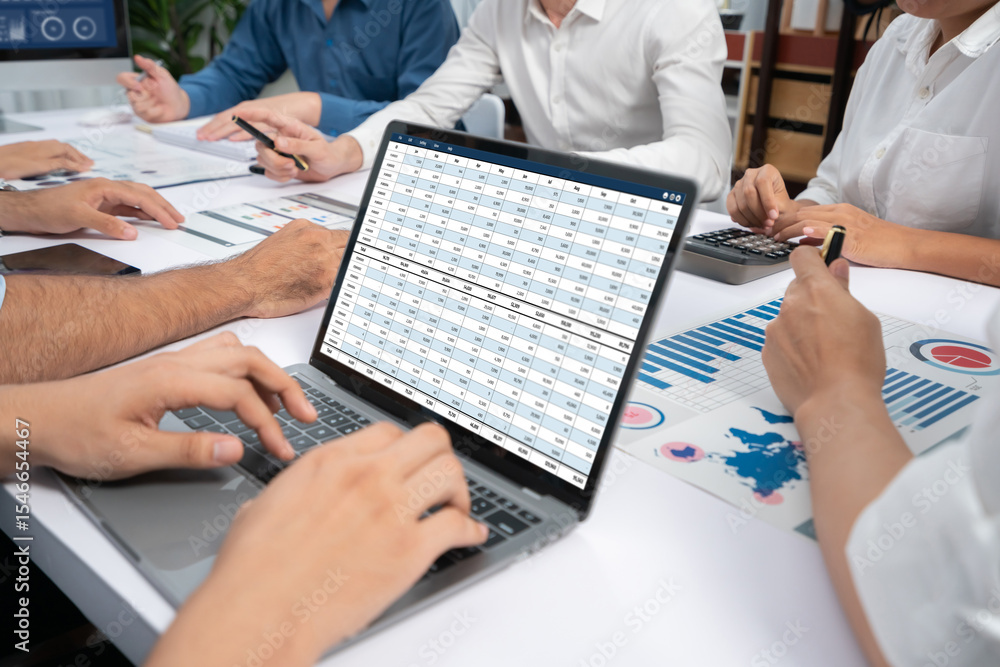 Aufkleber Accounting software on computer screen showing financial statement spreadsheets and account balance of corporate business offer accountant a fine calculation accounting brisk