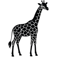 Naklejka premium giraffe isolated on white