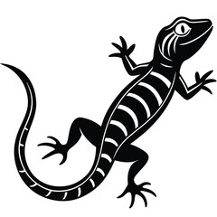 bearded dragon lizard