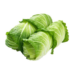 Fototapeta premium cabbage leaf roll isolated on transparent white background, clipping path