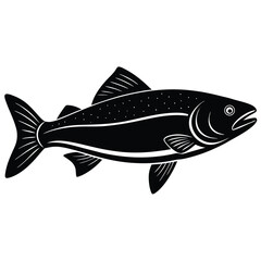fish on a white background