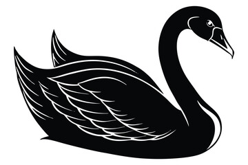 black swan vector