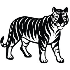 tiger vector illustration