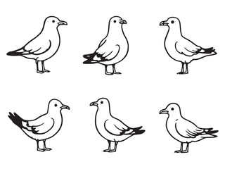 Seagull Outline Vector Drawing