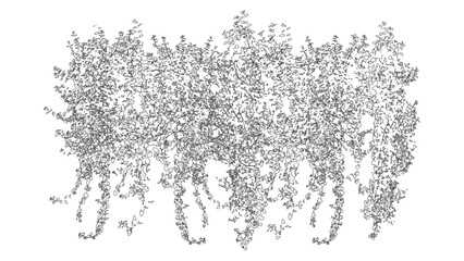 Dense Leafy Hanging Vines Vector Design © Sara Studio