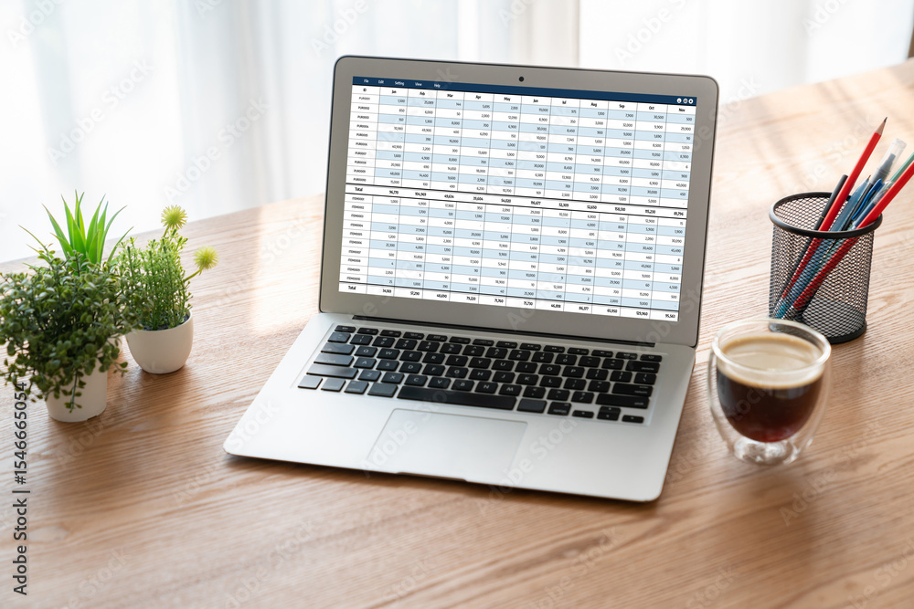 Poster accounting software on computer screen showing financial statement spreadsheets and account balance 