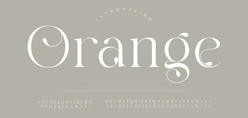 Luxury wedding alphabet letters font and number. Typography elegant classic lettering serif fonts decorative vintage retro with tails concept. vector illustration
