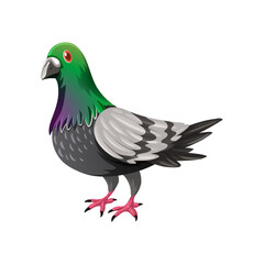 Cartoon illustration of a vibrant pigeon with detailed feathers and a black background