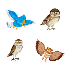 Colorful illustrations of various birds including owls against a solid black background
