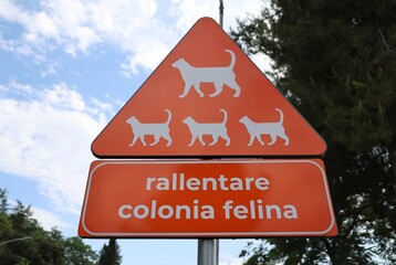 Road sign warning drivers to slow down due to a local cat colony. The sign features five cat...