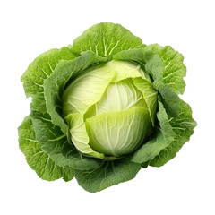 Fototapeta premium cabbage isolated on transparent white background, clipping path