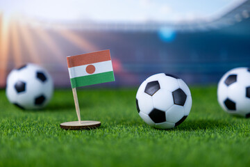 Niger flag proudly displayed on a vibrant green soccer pitch with multiple footballs, symbolizing national team presence and global athletic competition in a stadium setting