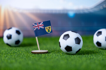 Turks and Caicos Islands flag miniature stands proudly on green grass with footballs in a blurred...