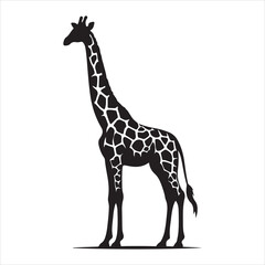 Fototapeta premium Silhouette vector of a giraffe standing on a white background