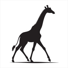Silhouette vector of a giraffe standing on a white background