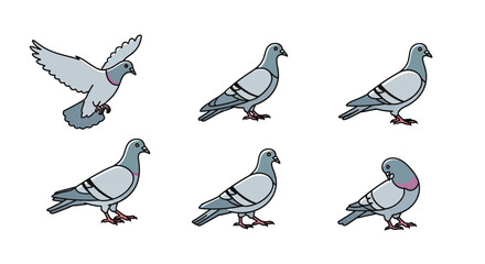 Collection of Six Pigeon Illustrations Diverse Poses and Angles