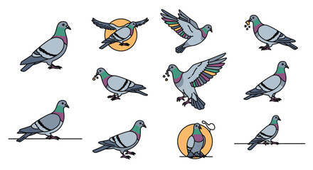 Collection of Colorful Pigeon Illustrations Line Art Designs