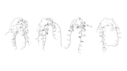 Monstera and Vines Minimal Botanical Drawing
