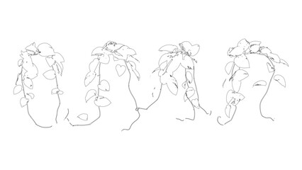 Trailing Heartleaf Vines Botanical Illustration