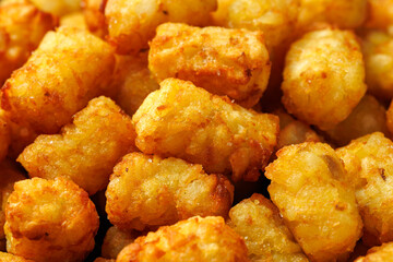 Homemade Baked Fried Tater tots Potatoes with Ketchup