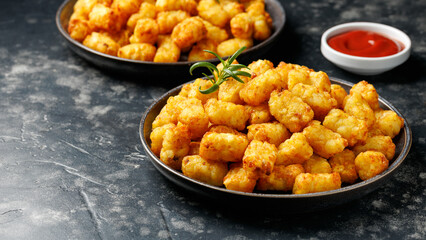 Homemade Baked Fried Tater tots Potatoes with Ketchup