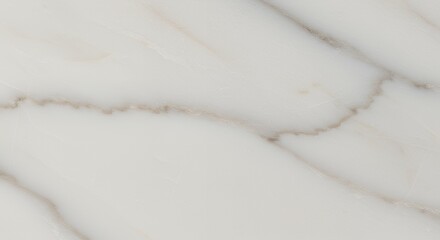 Elegant White Marble Texture: A Luxurious Stone Background