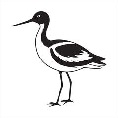 avocet line art vector illustration