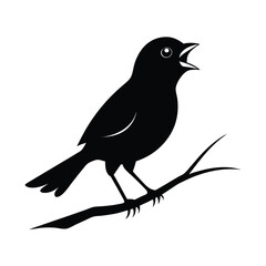 A bird singing on a branch in silhouette isolated on white background