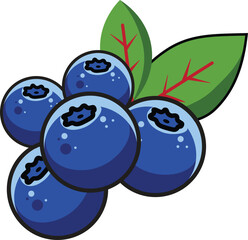 Blueberry fruit vector illustration with green leaves and cartoon style design