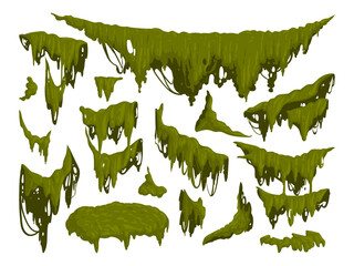 Green jungle moss. Hanging moss plants, creeping lichen moss flat vector illustration set. Cartoon rainy forest flora collection