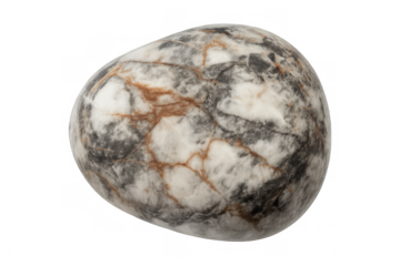 Polished oval marble stone revealing delicate veining, highlighting intricate natural patterns against transparent backdrop