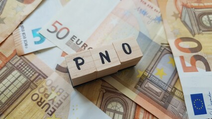 PNO acronym made of wooden letter cubes on pile of Euro banknotes. Propriétaire Non Occupant (Landlord Insurance)