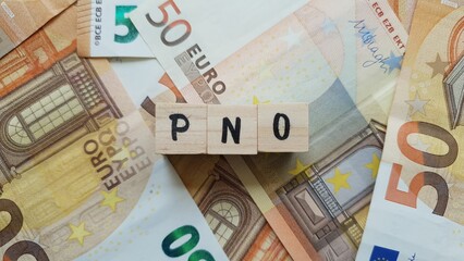 PNO acronym made of wooden letter cubes on pile of Euro banknotes. Propriétaire Non Occupant...