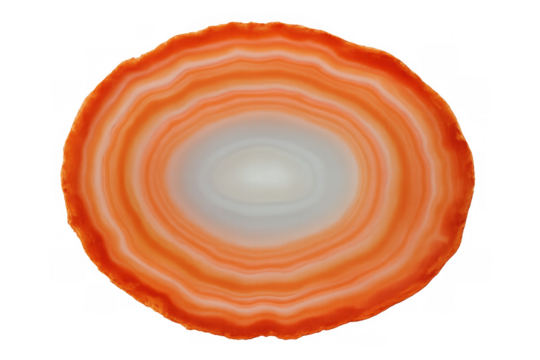 Polished carnelian agate slice revealing layered concentric bands, showcasing vibrant mineral texture against transparent backdrop