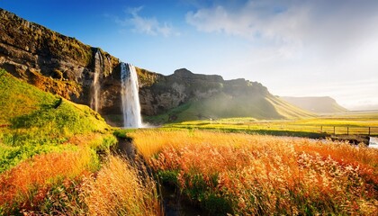 seljalandsfoss waterfall and yellow field grass on sun light iceland ladscape landmark travel