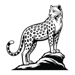"Black and White Cheetah Illustration Standing on Rock"

