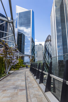 Rooftop View of London Skyscrapers from Garden at 120