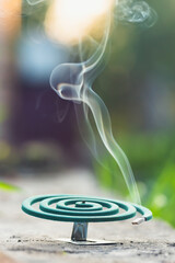 Smoldering mosquito repellent coil in summer garden, insect protection