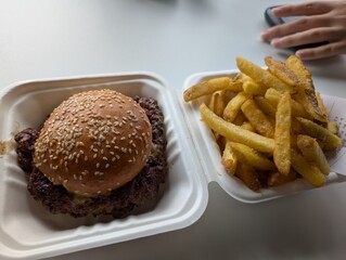 burger and fries