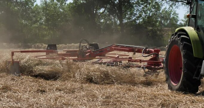 Making hay with the hay tedder, Southern France