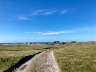 Coastal landscape with winding path leading to the ocean and grassy grazing land on a clear day in...