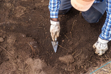 A Professional Archaeologist During an Excavation.
