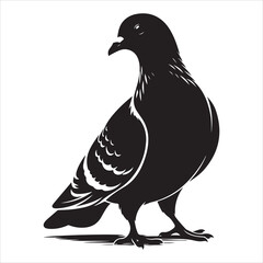 Fototapeta premium Silhouette vector of a pigeon in flight on white background