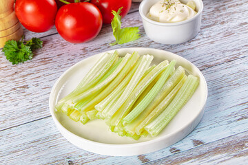 Dietary green celery stick heap
