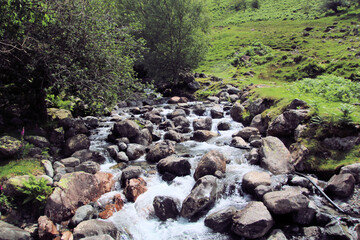 stream in the mountains